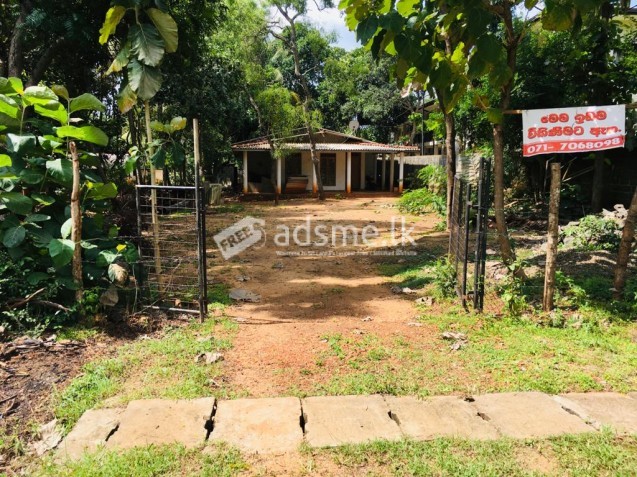 Valuable Land for Sale with House