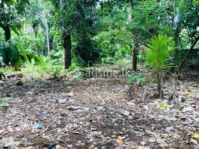 Valuable Land for Sale with House