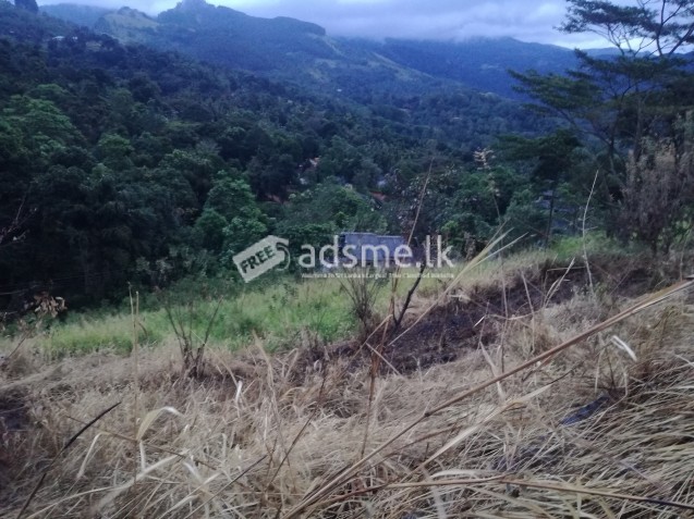 නිල්ලඹ ඉඩම්
