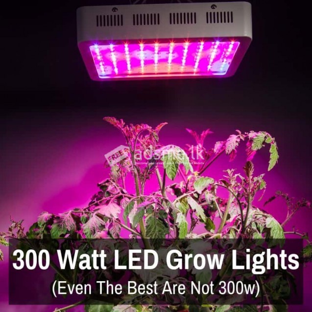 LED Plant (Grow) light 300W