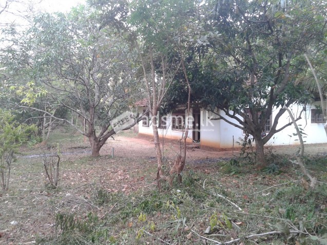 Land with house in Dambulla, Inamaluwa
