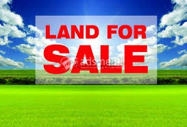 land for sale nuwaraeliya