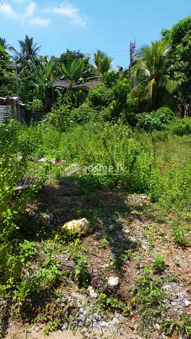 Land in Weera Mawatha, Depanama, Pannipitiya