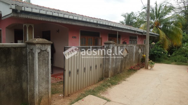 House for Urgent Sale Near Raddolugama