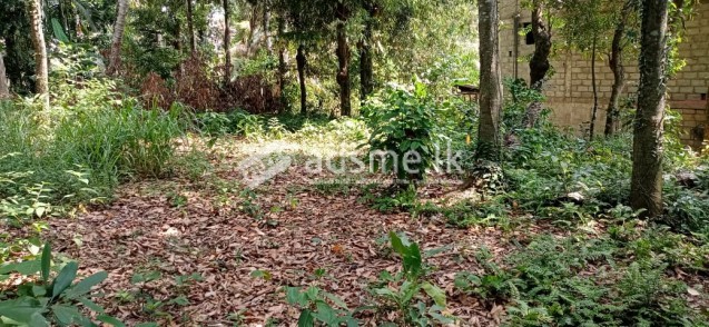 Land for Sale in Ganemulla