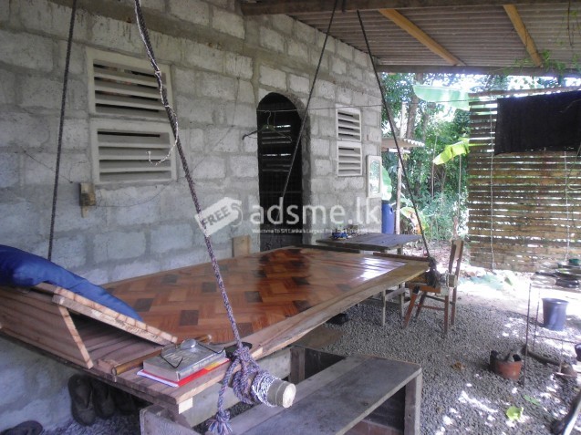 nature-land and paddy field for sale