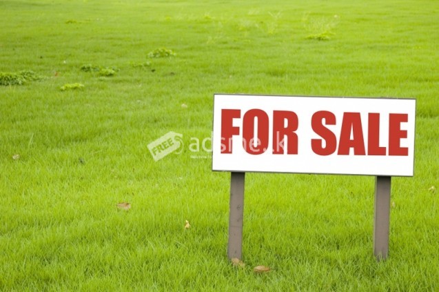 Land For Sale In Horana