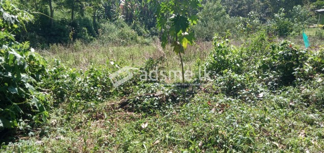 Valuable Land for sale