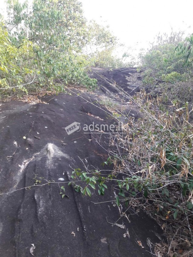 හොරණ අක්කර 5ක් අඩුම මිලට