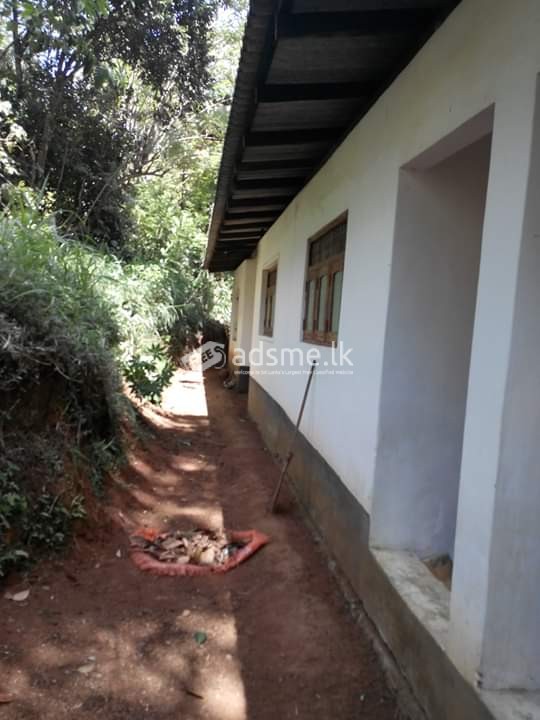 HOUSE FOR SALE IN KANDY