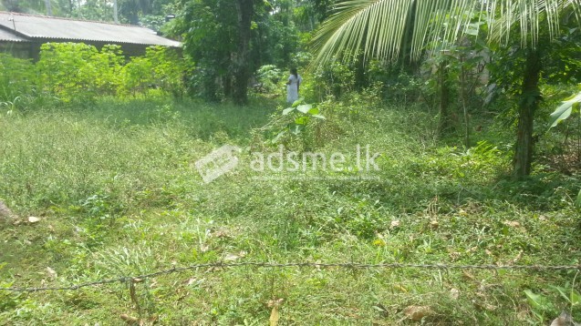 land  for   sale