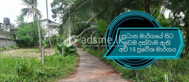 3Km to NSBM Campus Homagama Pitipana