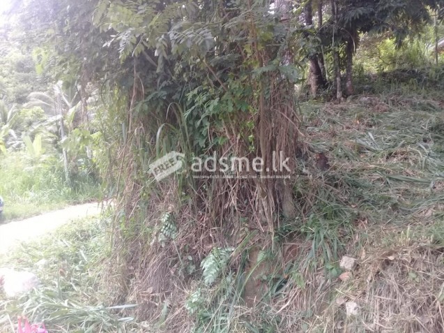 Land for sale in peradeniya