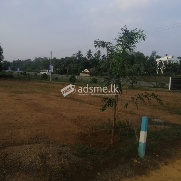 Land For Sale