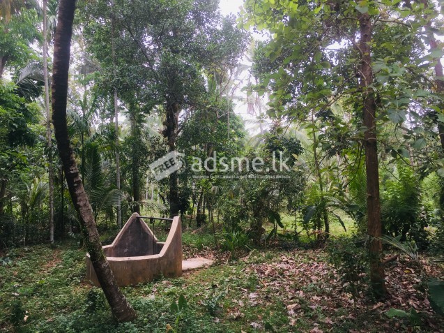 House with Land Sale in Narammala