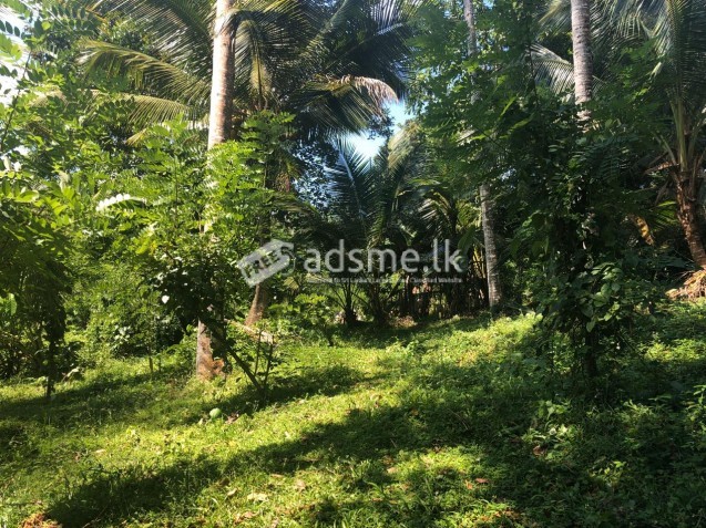 50P LAND FOR SALE - KEGALLE