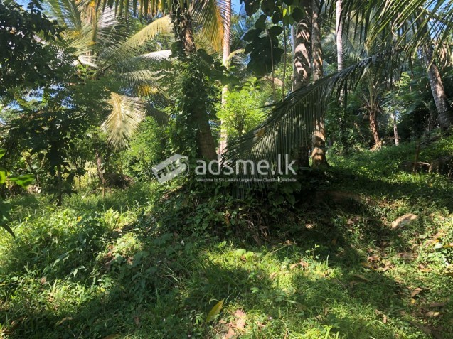 50P LAND FOR SALE - KEGALLE