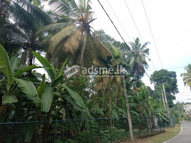 Land with House for Sale (Mawanella)