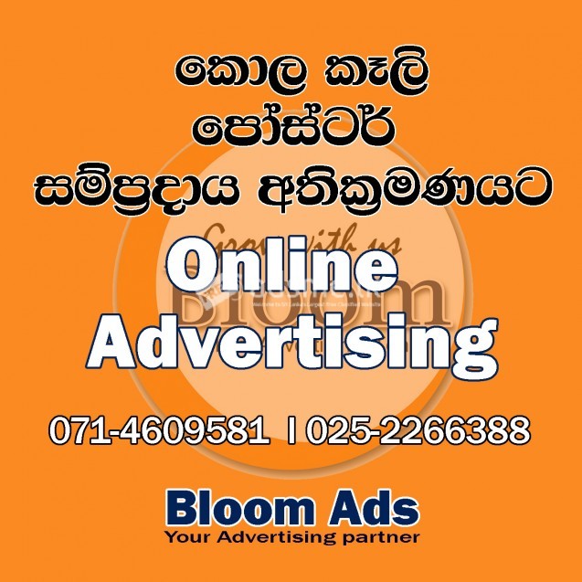Bloom Ads Advertising
