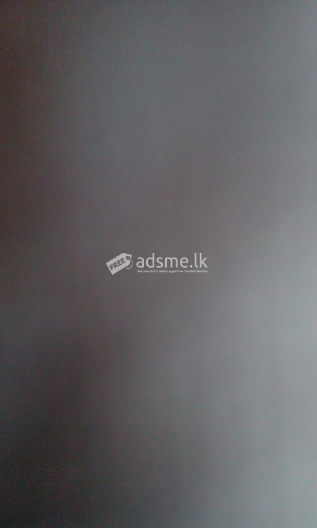 Austin Mini Cooper 2001 (Used)