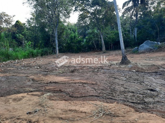 Valuable land for sale in Kurunegala