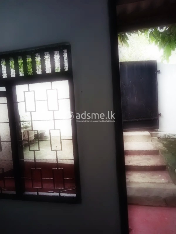 House for Rent in Wellawatte