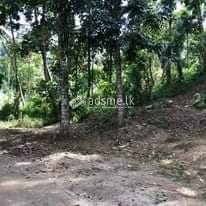 Land for sale near Polgolla university, Kandy
