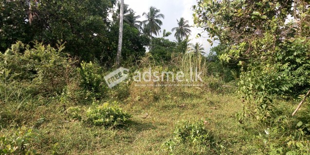 Land for Sale in Delgoda, Udupila