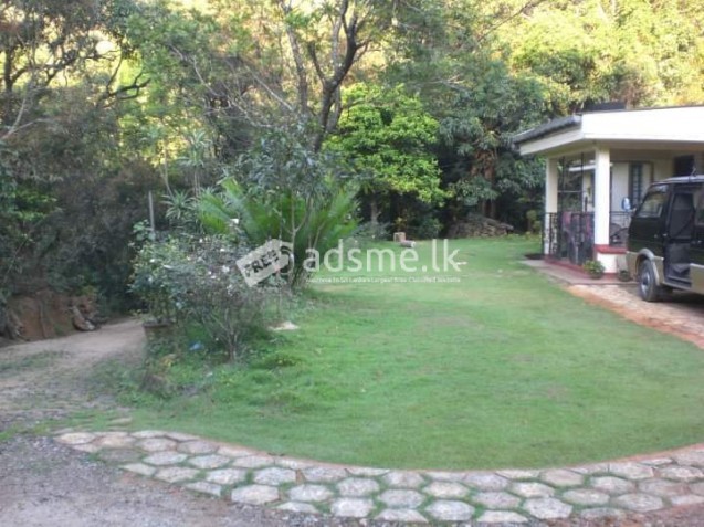 Valuable house for sale in Ududumbara