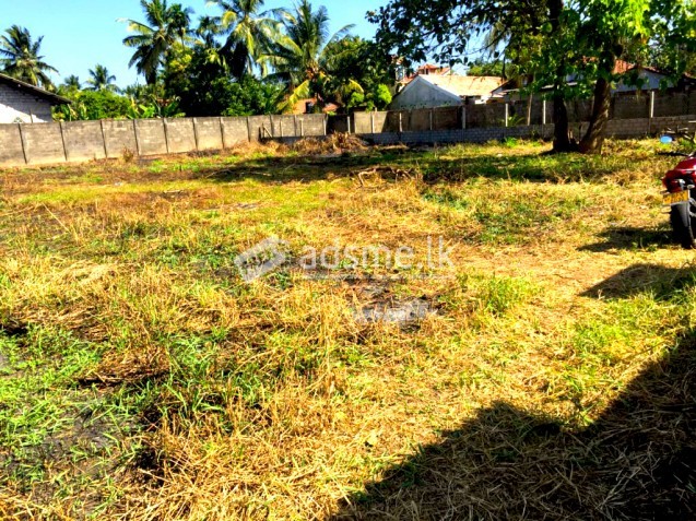 14 Perches Residential Land for Sale in Negombo