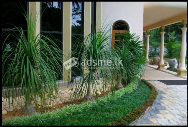 Landscaping And Garden Services