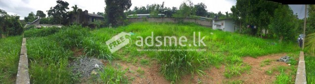 Land For Sale in Hanwella (219 Bus Route)