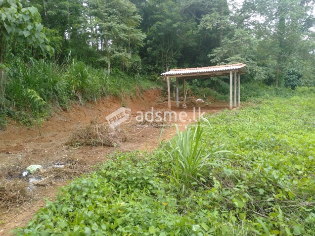 Abundoned  B grade paddy land for sale