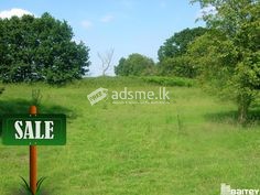 LAND FOR SALE IN Kandy Rd