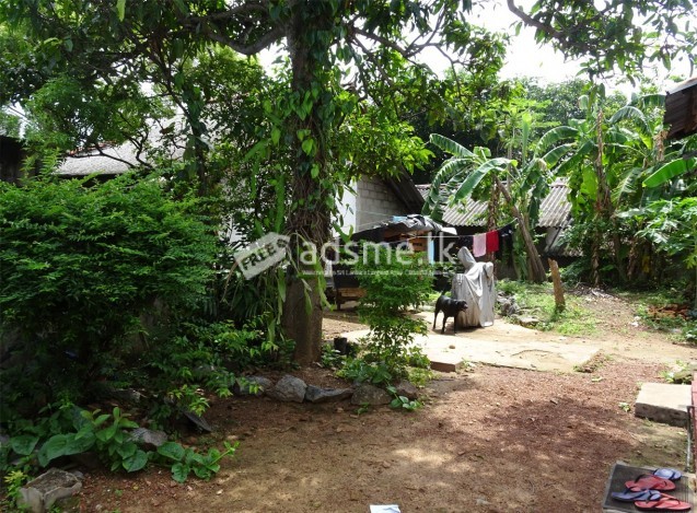 Highly residential land in Mount Lavinia