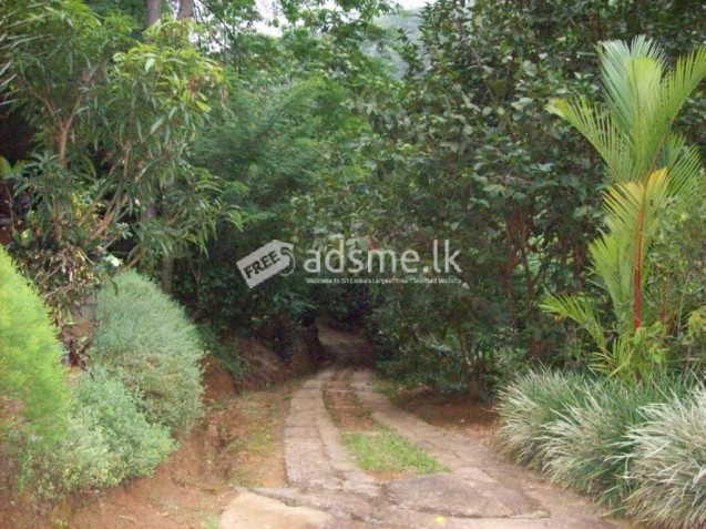 19 Acres Land with Fully Furnished House - Kandy