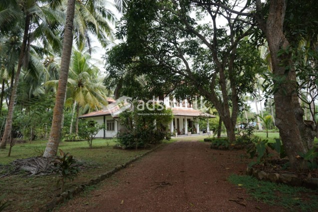 Cultivated land for sale