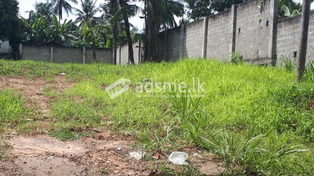 Developed Land in Alawwa for Sale
