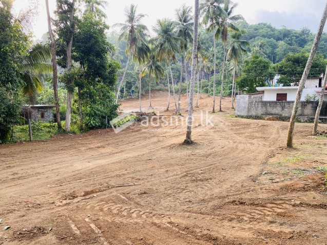 Land for sale in Delgoda