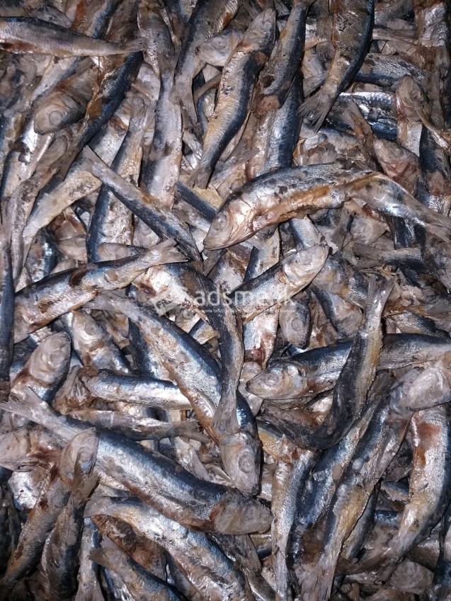 Karawala (Dry Fish)