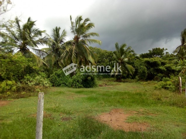 Land for sale immediately in ridiyagama