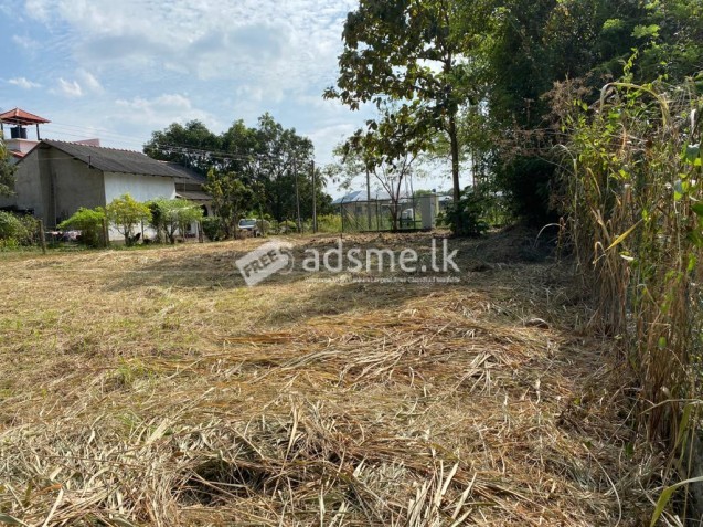 Crown titled, Rectangular, flat,22.86p bare land for sale.