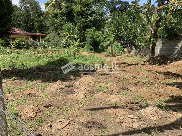 Land sale near Colombo international school