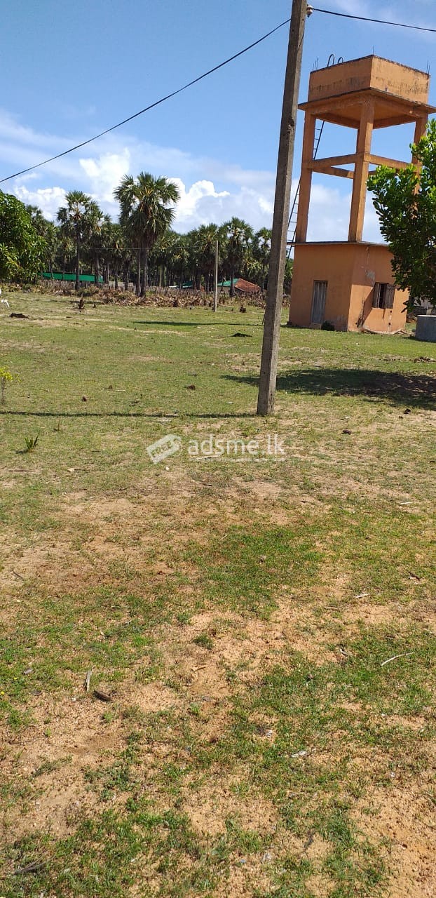 Land for Sale in Kalkudah (Pasikudah)