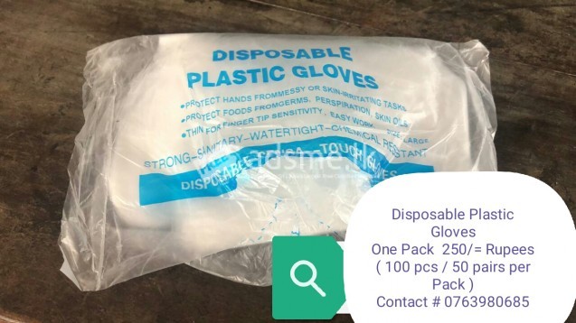 Gloves - Disposable polythein Gloves