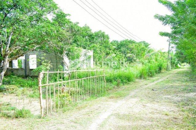 Valuable land for immediate sale in Balangoda.