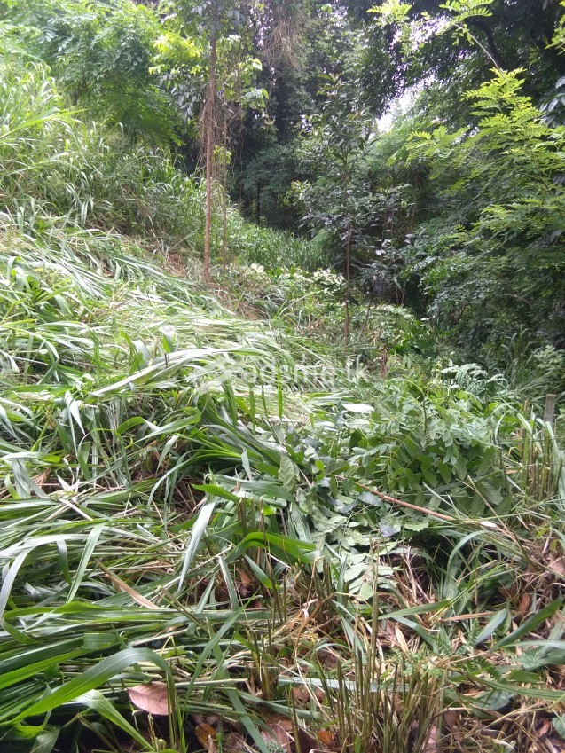 15 perches bear land for Sale in Kegalle
