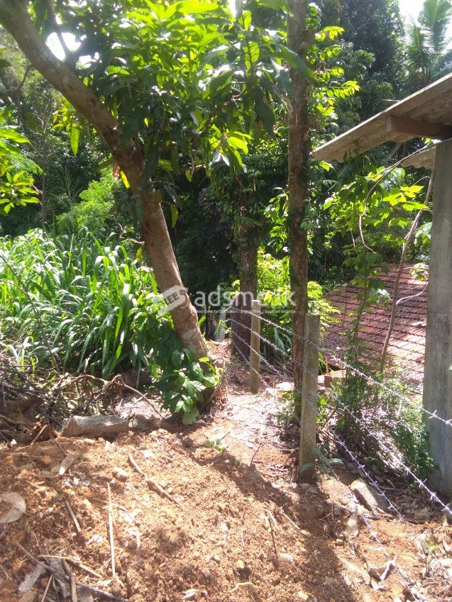 15 perches bear land for Sale in Kegalle