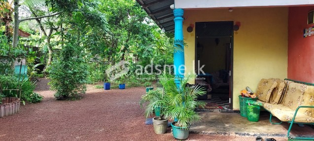 Small House For Sale