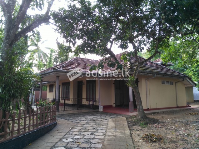 House For Rent In Walahanduwa, Galle.
